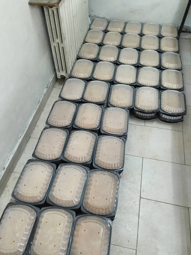 Food being prepared at the takiyya